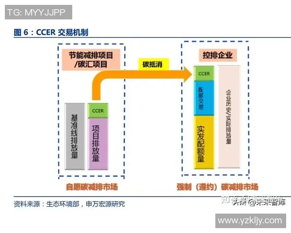 碳排放权交易机制解析助力实现全球碳中和目标的复杂路径