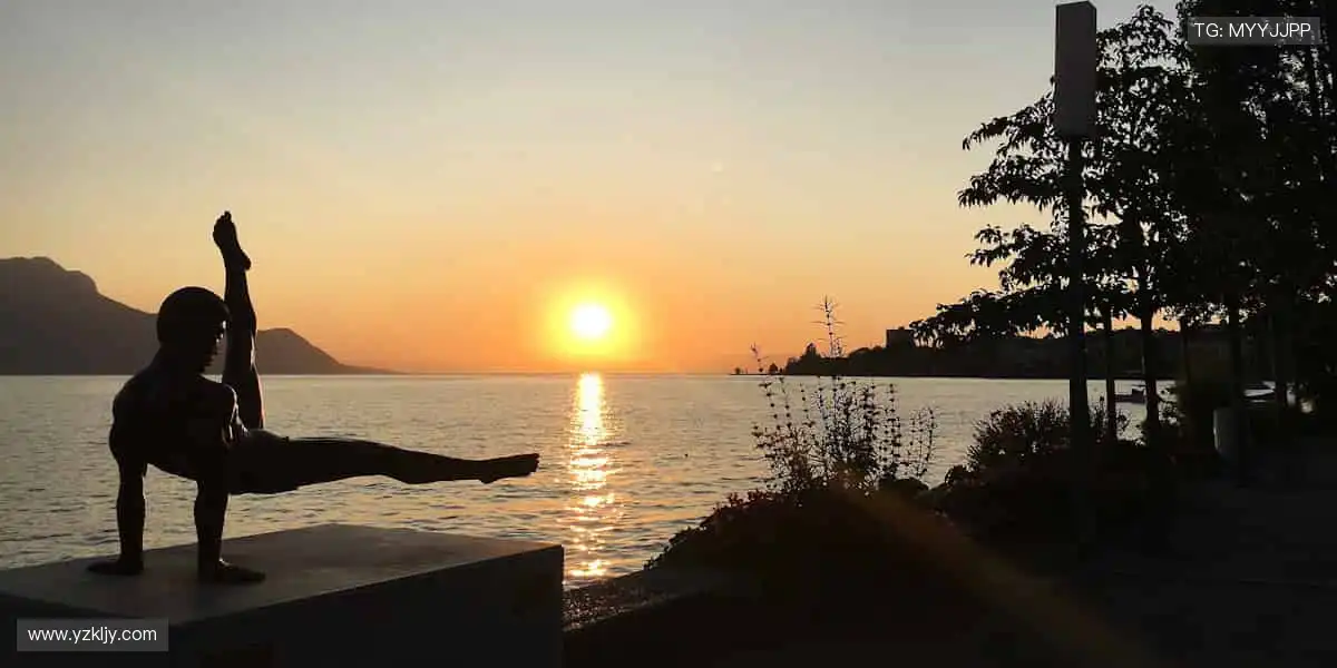 🚴 速度激情，赛道争锋！🏆